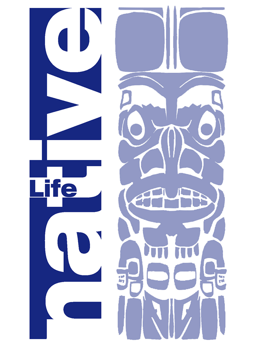 Character Design by Dm2 for NATIVELIFE | Design #5310158