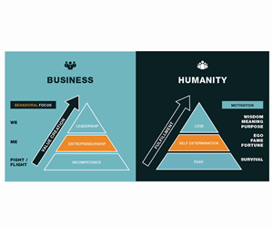 Graphic Design by Create Agency