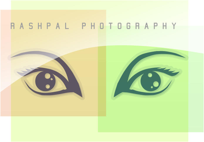 Logo Design by King USA for this project | Design #5425155