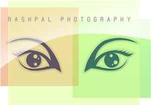 Logo Design by King USA