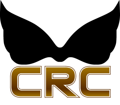 Logo Design by Design Possibilities for Camera Ready Cosmetics | Design #277021