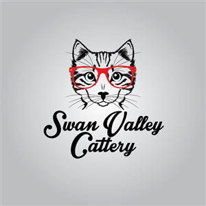 Logo Design by Raheel Saeed
