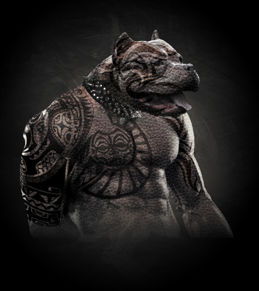 Illustration Design by nanx for Torsten Baumgarten | Design #5389623