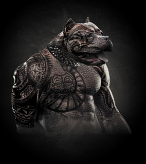 Diseño Con Ilustración por nanx para Torsten Baumgarten | Diseño: #5389623