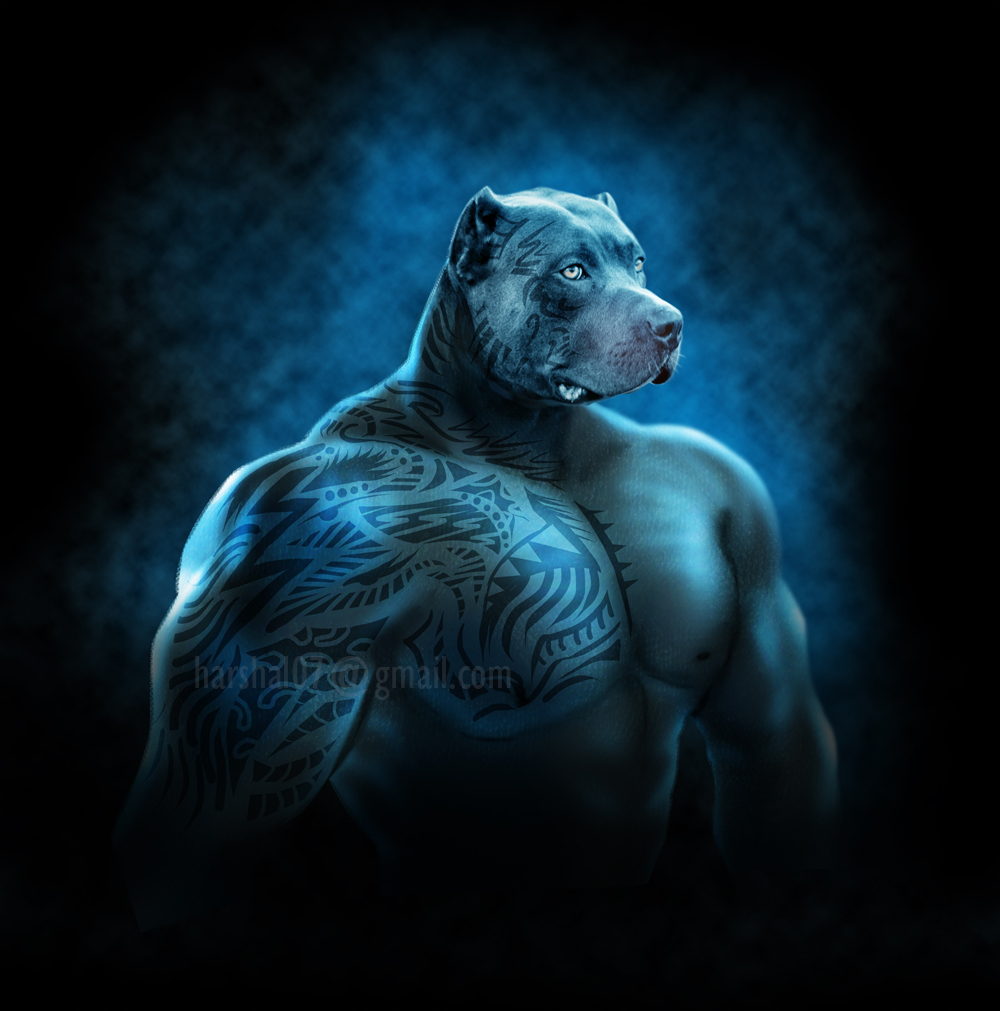 Illustration Design by harshalpatil for Torsten Baumgarten | Design #5357187