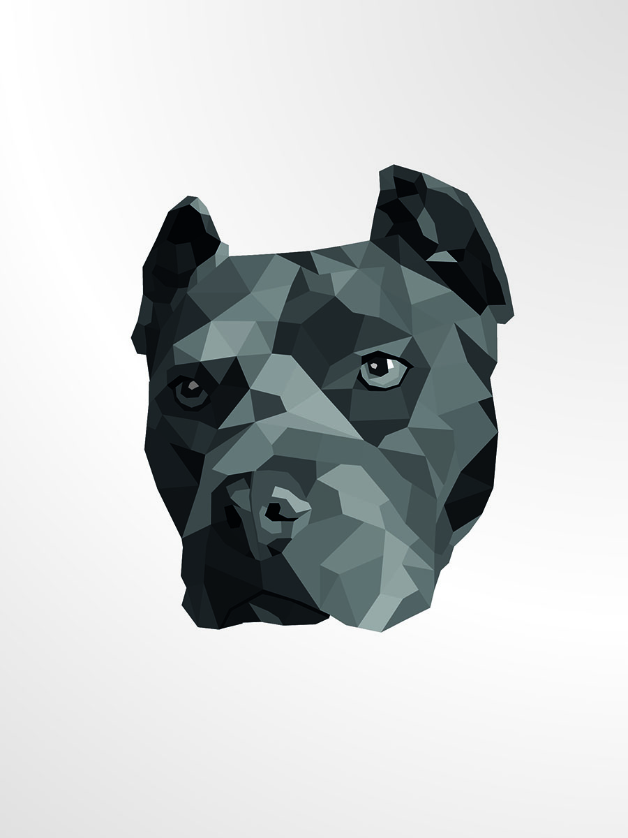 Illustration-Design von neusrodriguez für Torsten Baumgarten | Design #5339695
