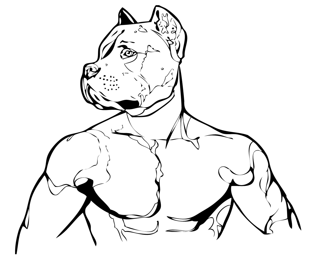 Illustration Design by NemkiStudio for Torsten Baumgarten | Design #5371190