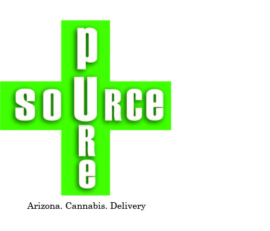 Logo Design by maria pardo diseño for DirectAZ | Design #1481152