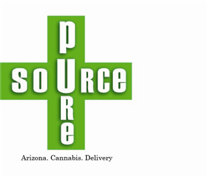 Logo Design by maria pardo diseño for DirectAZ | Design: #1481152