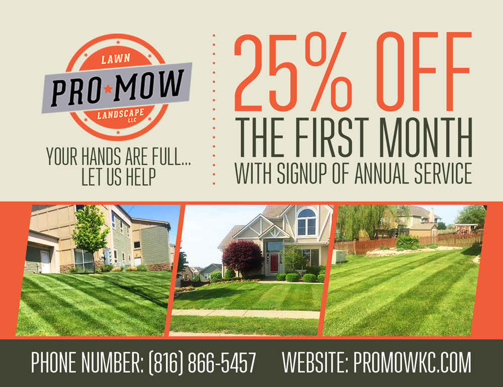 Flyer Design by Easy Flyer Design for this project | Design #5376384