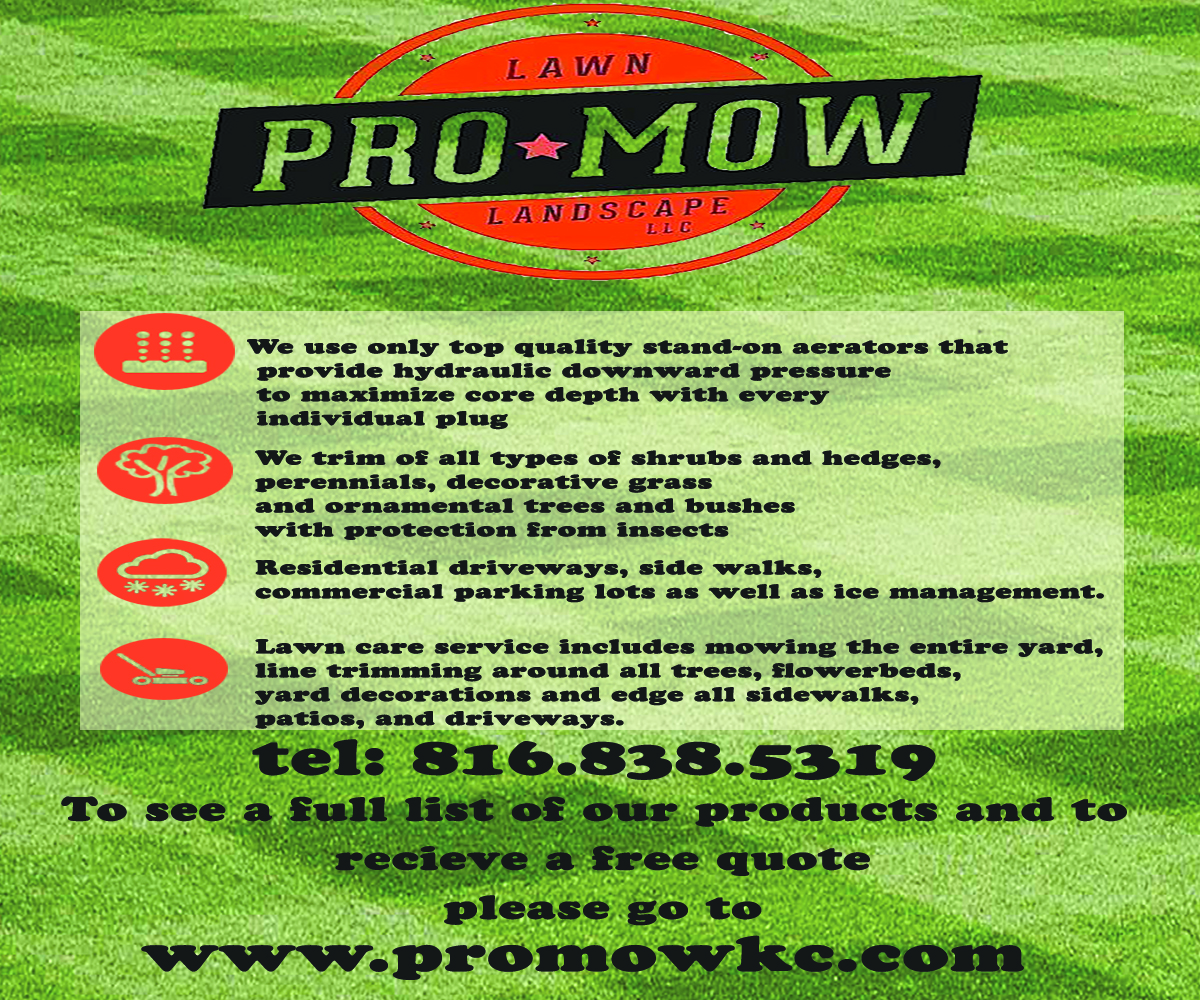 Flyer Design by Cog Creation for this project | Design #5328848