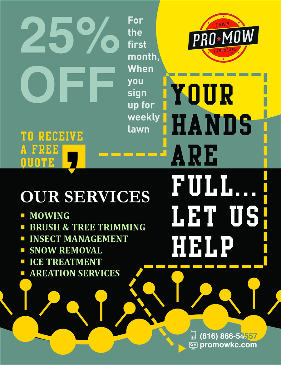 Flyer Design by Shakik's DeSigN for this project | Design #5361256