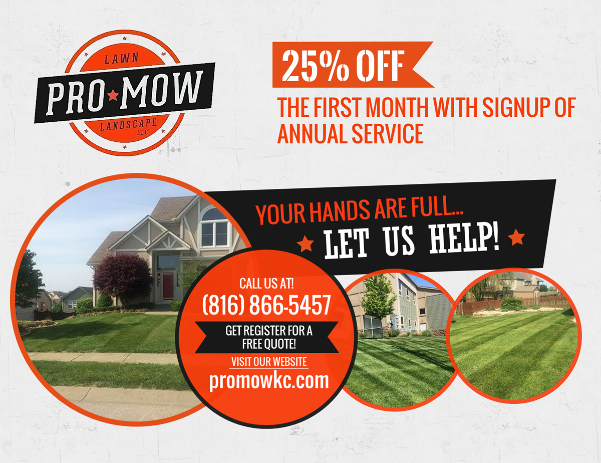 Flyer Design by Behriatech for this project | Design #5369303