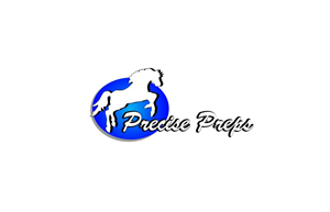 Logo Design by Ras Saputra
