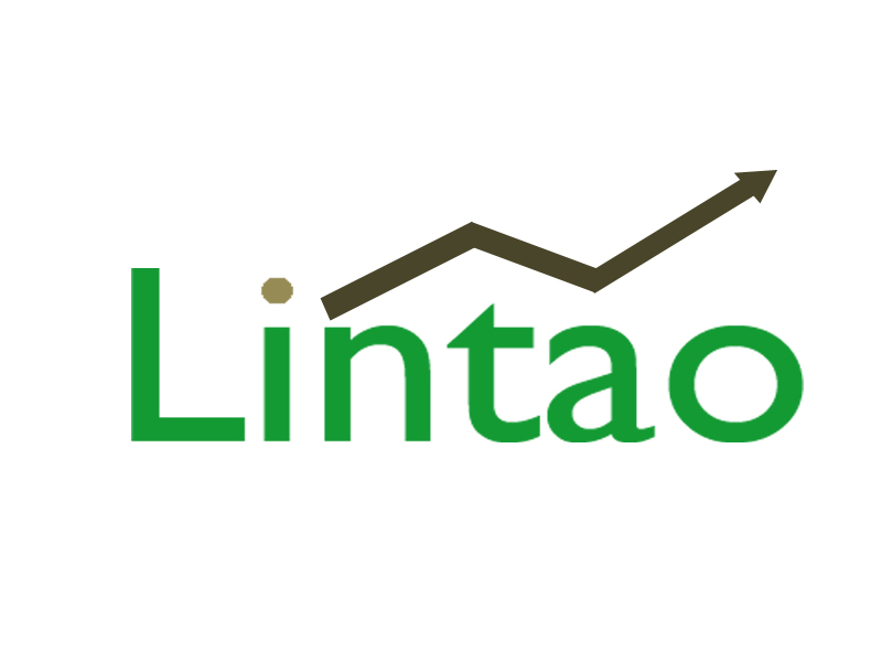 Logo Design by VinodJohn for Lintao SA | Design #5325745