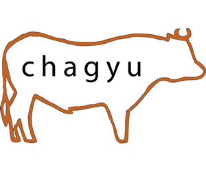 Logo Design by NemkiStudio