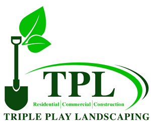 Logo Design by (BM) Design