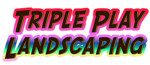 Logo Design by blackoutworm