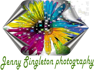 Logo Design by Double 'e' Grafikaz