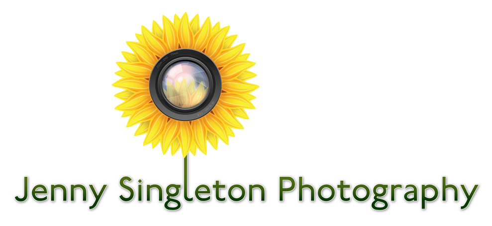 Logo Design by Gabe Sousa for Sunflower Photography | Design #1512415