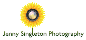 Logo Design by Gabe Sousa