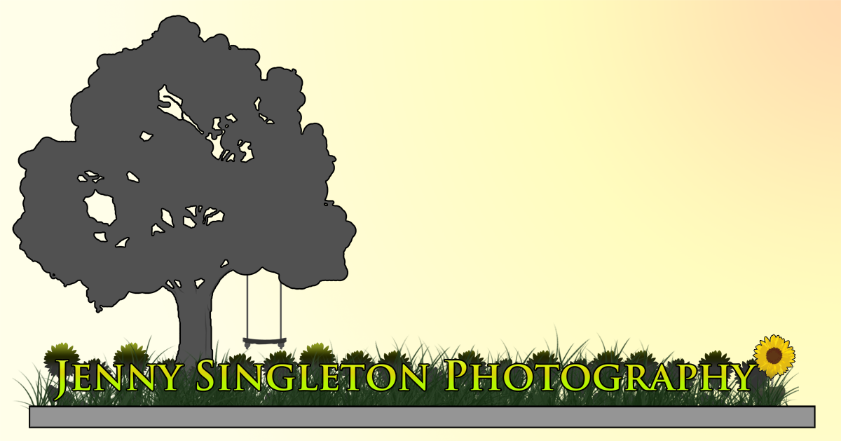Diseño de Logo por Xela para Sunflower Photography | Diseño #1483173