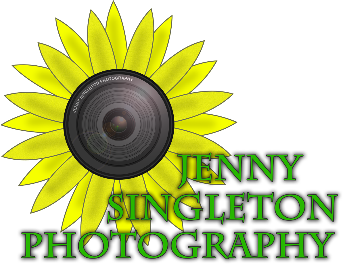 Logo Design by Xela for Sunflower Photography | Design #1489914