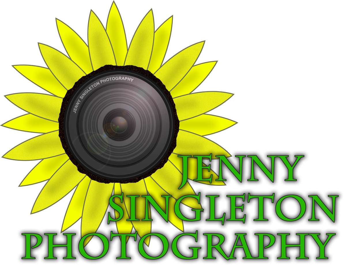 Logo Design by Xela for Sunflower Photography | Design #1489919