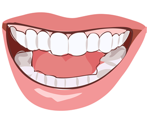 Illustration Design by NemkiStudio