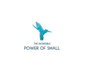 Logo Design by Alpha & Omega