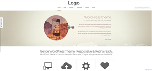 Web Design by picsbit