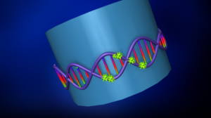 Illustration Design by artistraman for this project | Design: #7374812