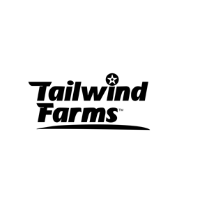 Logo Design by day2daydesigns
