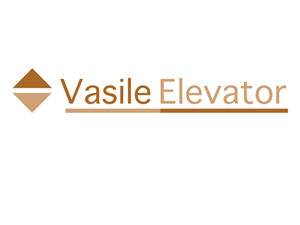 Logo-Design von Boxvision (Multimedia Photo & Retouching für Vasile Elevator | Design: #279683