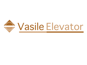 Logo-Design von Boxvision (Multimedia Photo & Retouching für Vasile Elevator | Design: #279685