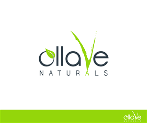Logo Design by nreimer for this project | Design: #5420452