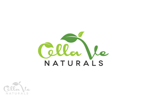 Logo Design by Digital Mind