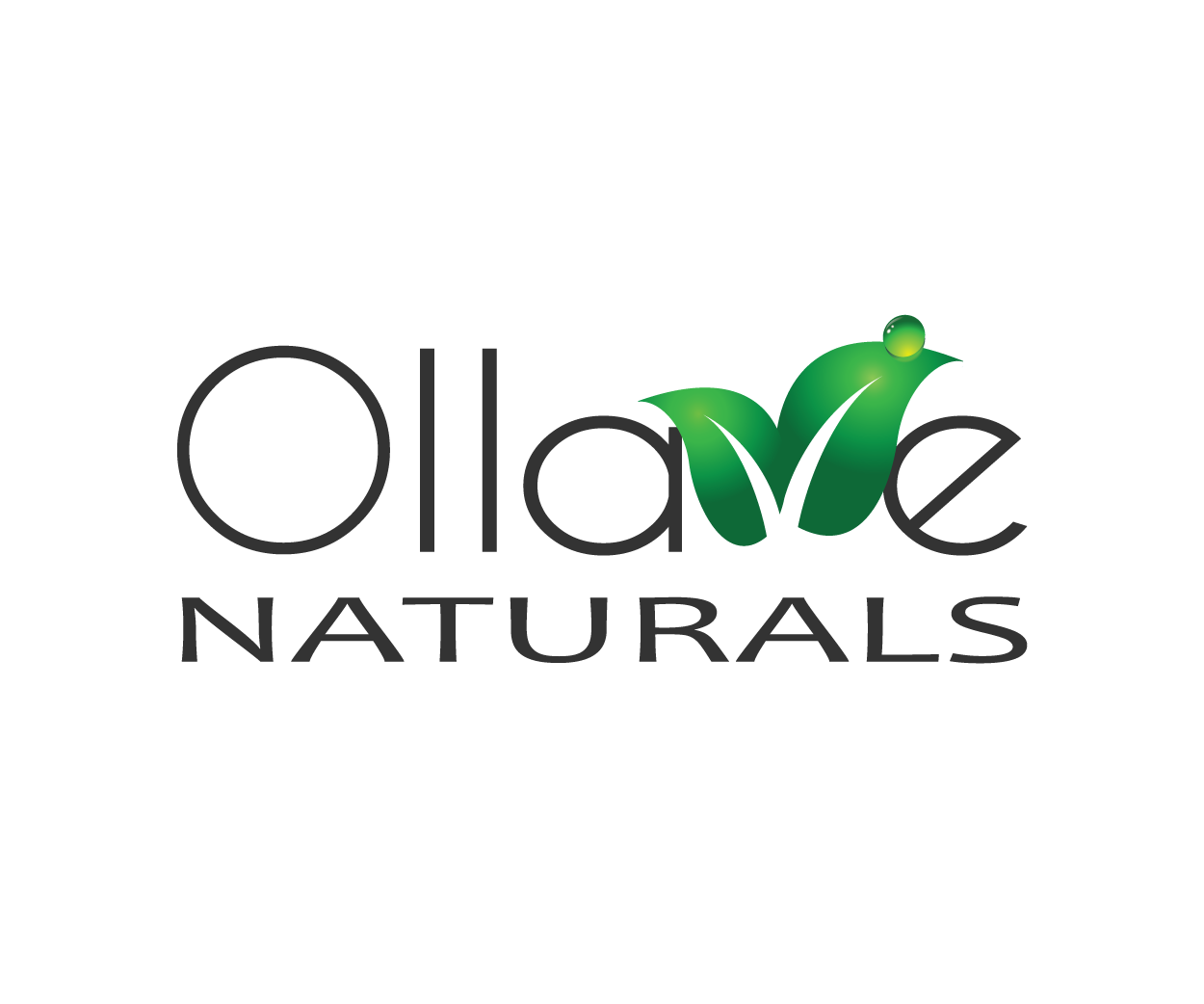 Logo Design by Peter Vee for this project | Design #5443573