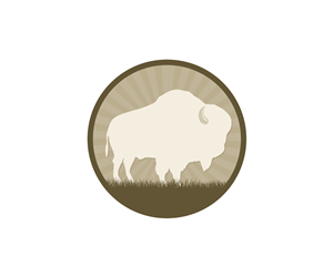 Logo Design by borzoid for this project | Design #5339202