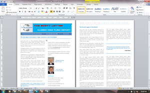 Newsletter Design by ALSS444