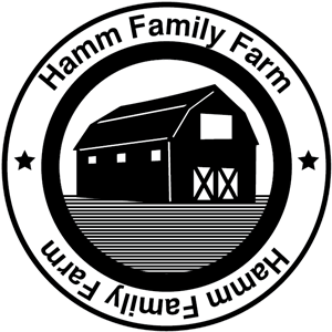Logo Design by raccoy