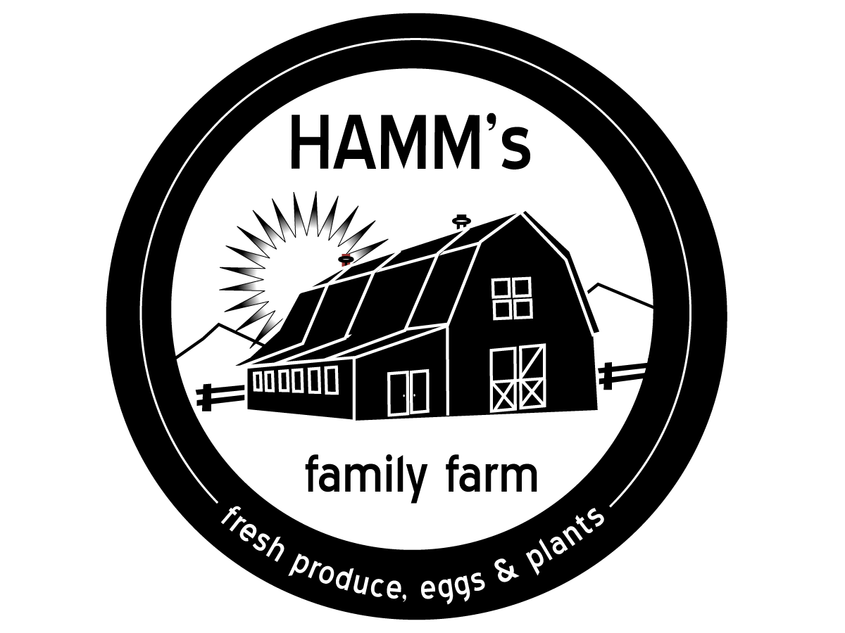 Logo Design by ChristineDeye for this project | Design #5349962