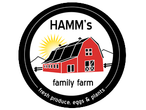 Logo Design by ChristineDeye for this project | Design: #5349966