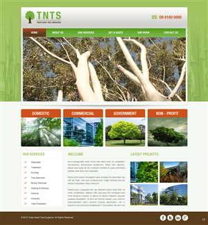 Web Design par pb pour Perth Web Hosting | Design : #1489974