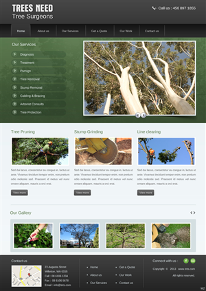 Web Design par pb pour Perth Web Hosting | Design : #1546505