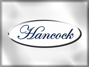 Logo Design by VizKill