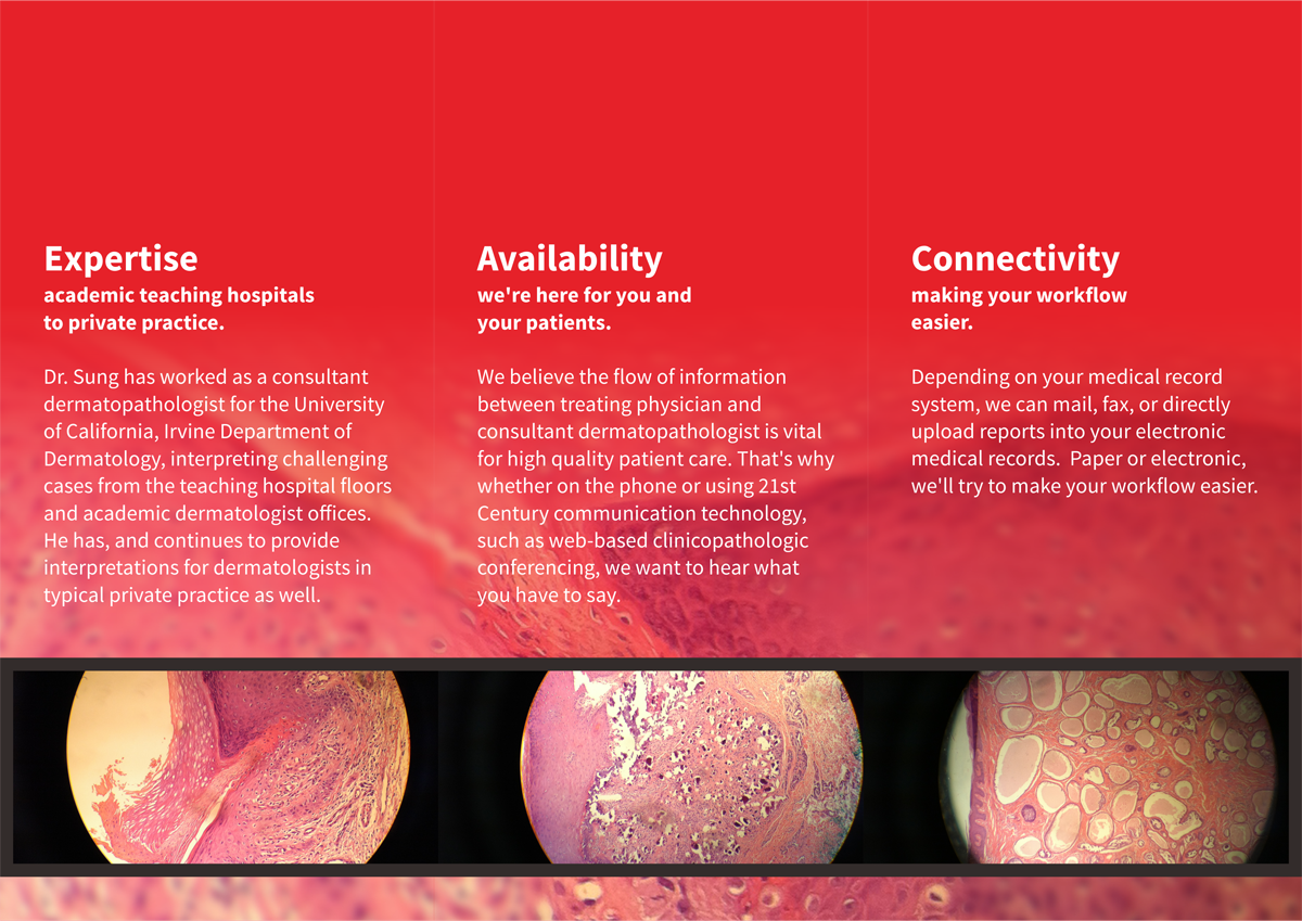 Brochure Design by barinix for this project | Design #5361102