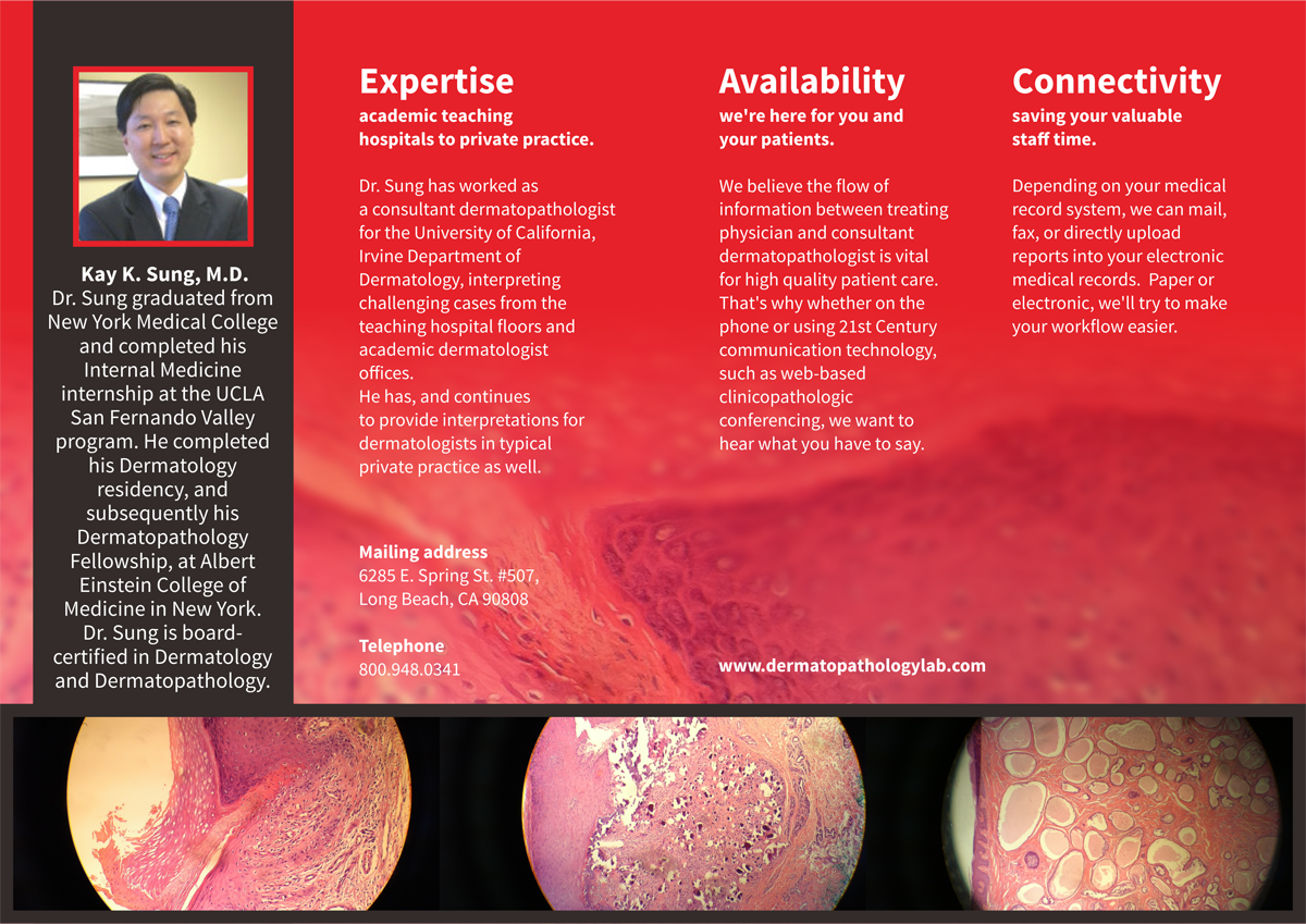 Brochure Design by barinix for this project | Design #5824972