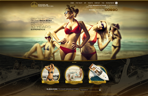 Web Design by Impressive Solutions for this project | Design: #5376639