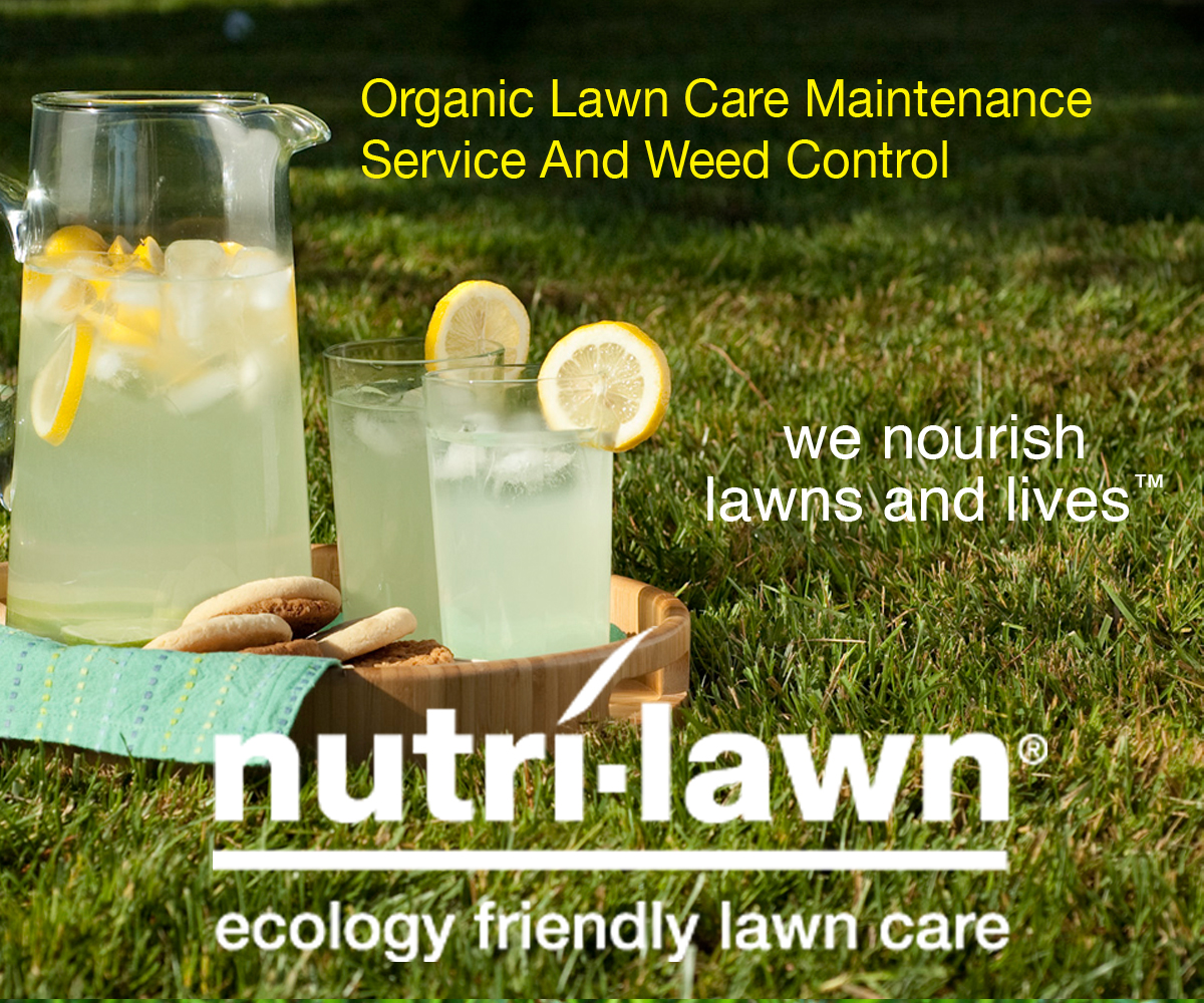 Banner Ad Design by tjgdzns for this project | Design #1500307